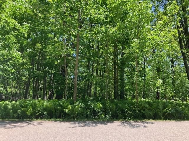 Land Near Crooked and Pickerel Lake