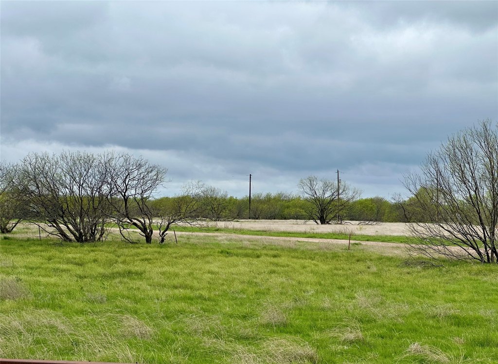 Picture 23