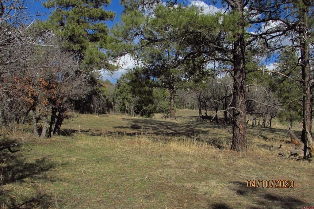 Picture 19
