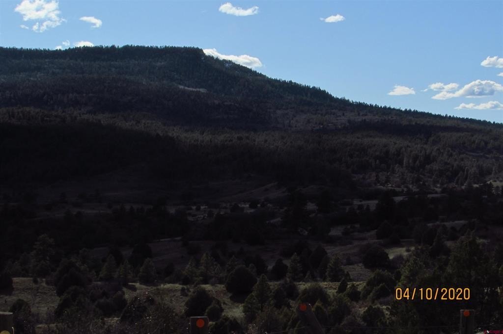 Picture 21