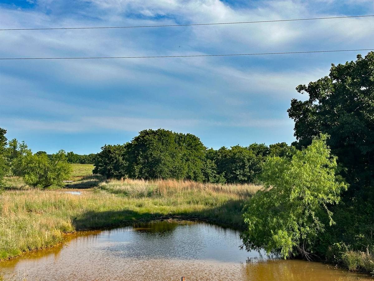 36 Acres Vacant Land, Loco