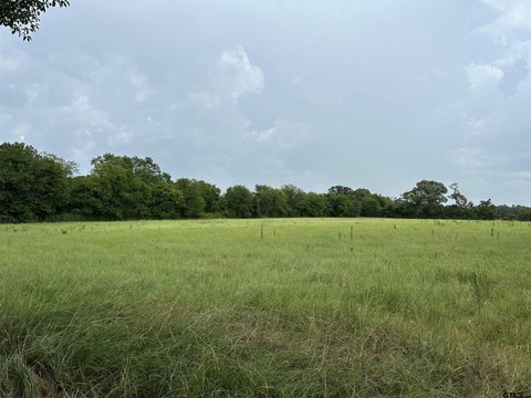 LAND - Frankston, TX