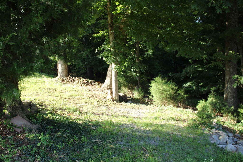 Picture 5