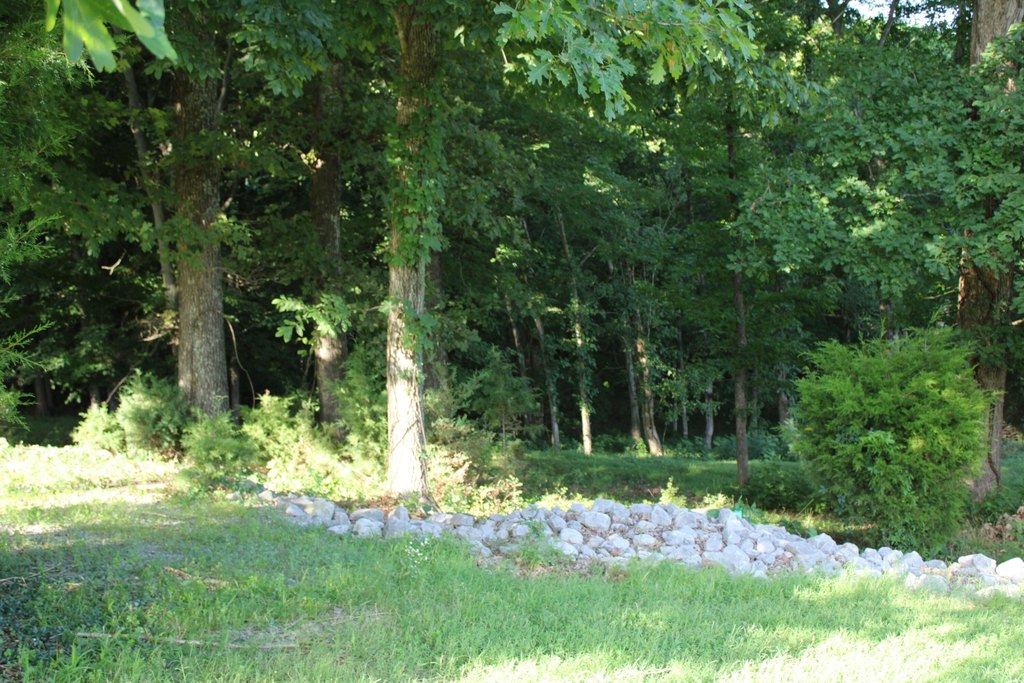 Picture 4