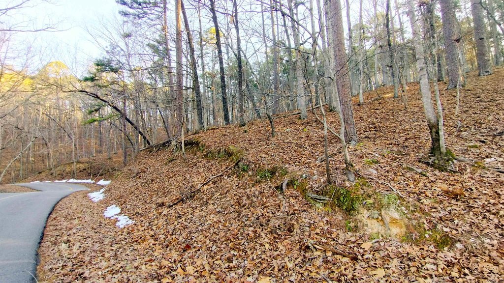 Picture 3