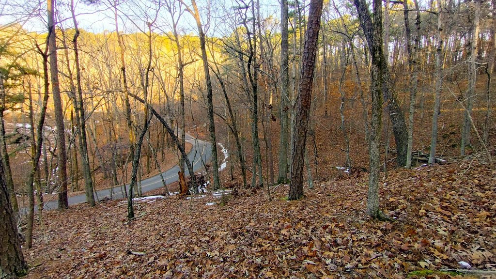 Picture 6