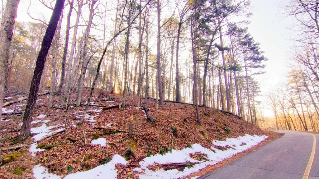 Picture 8