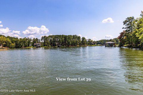 Lake Martin Waterfront Lot