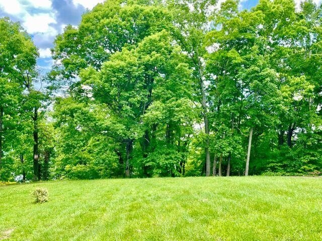 Waterfront Land in Green Hill