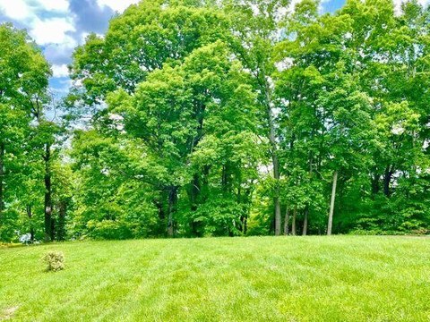 Waterfront Building Lot in Monticello