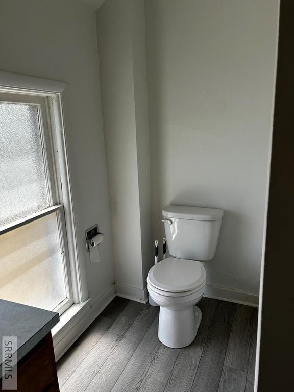 Picture 14