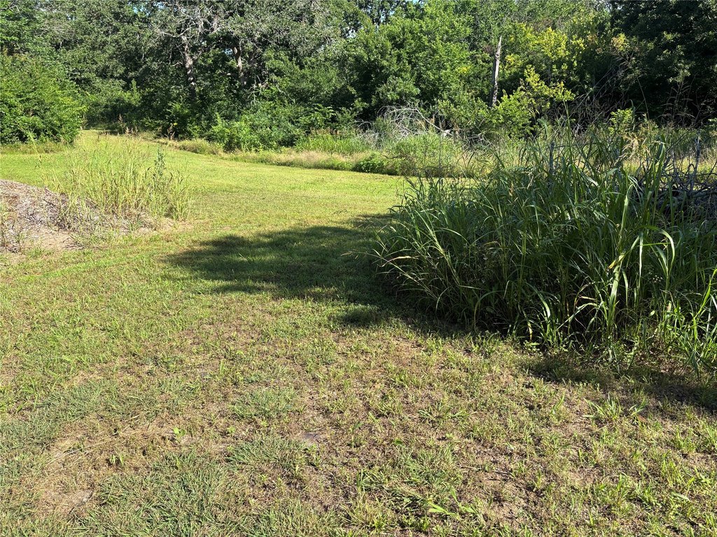 Picture 6