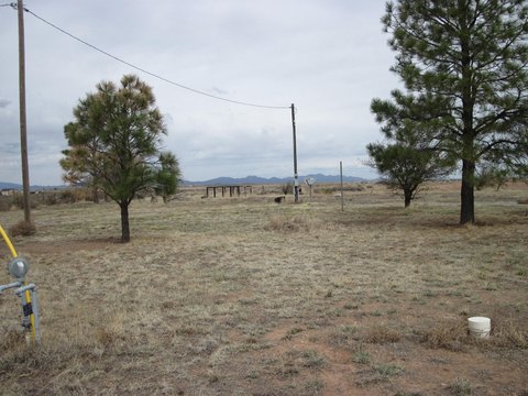 LAND - Moriarty, NM