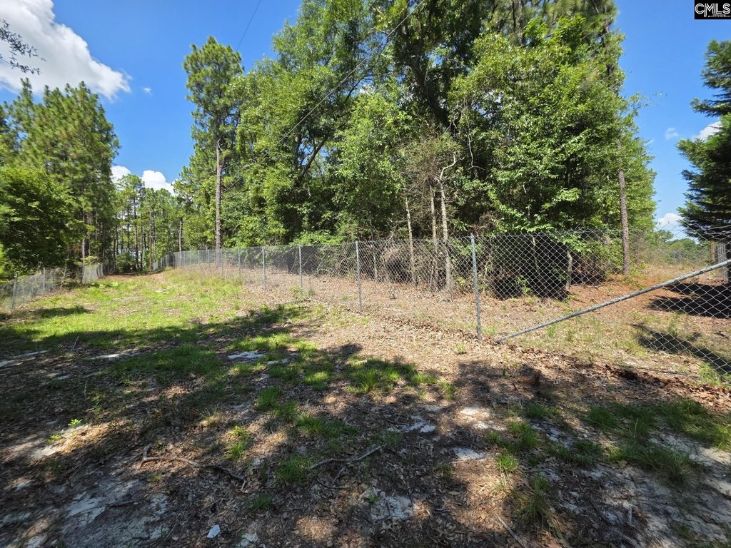 Picture 21