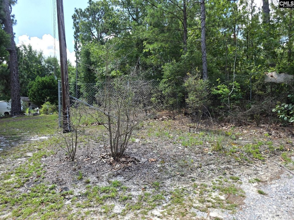 Picture 18