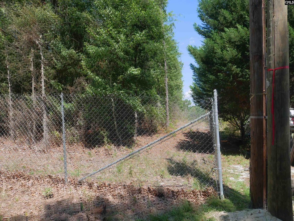 Picture 7