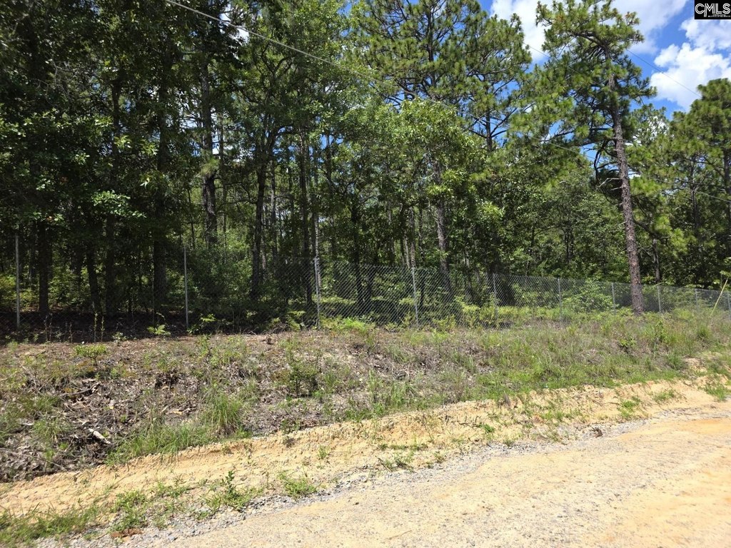 Picture 6