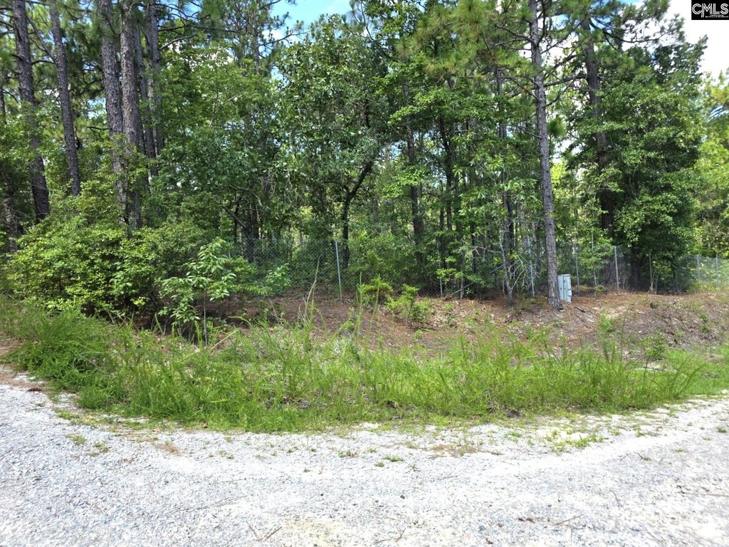 Picture 19