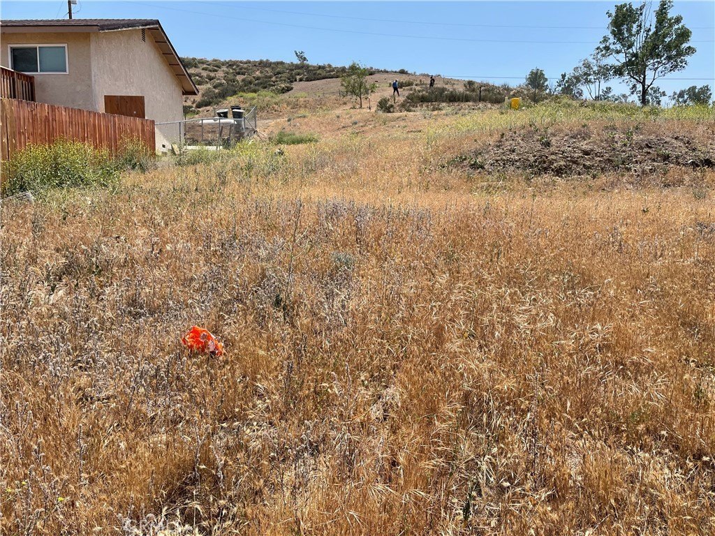 Picture 18