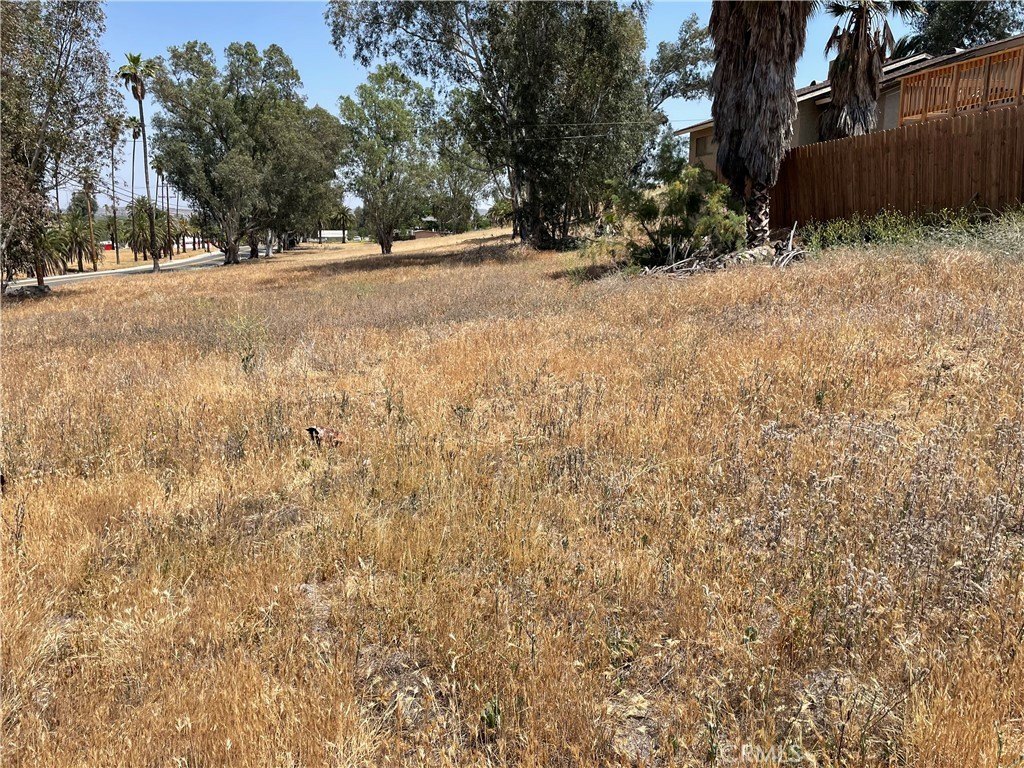 Picture 26