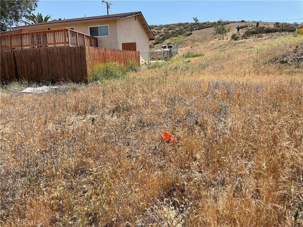 Picture 21