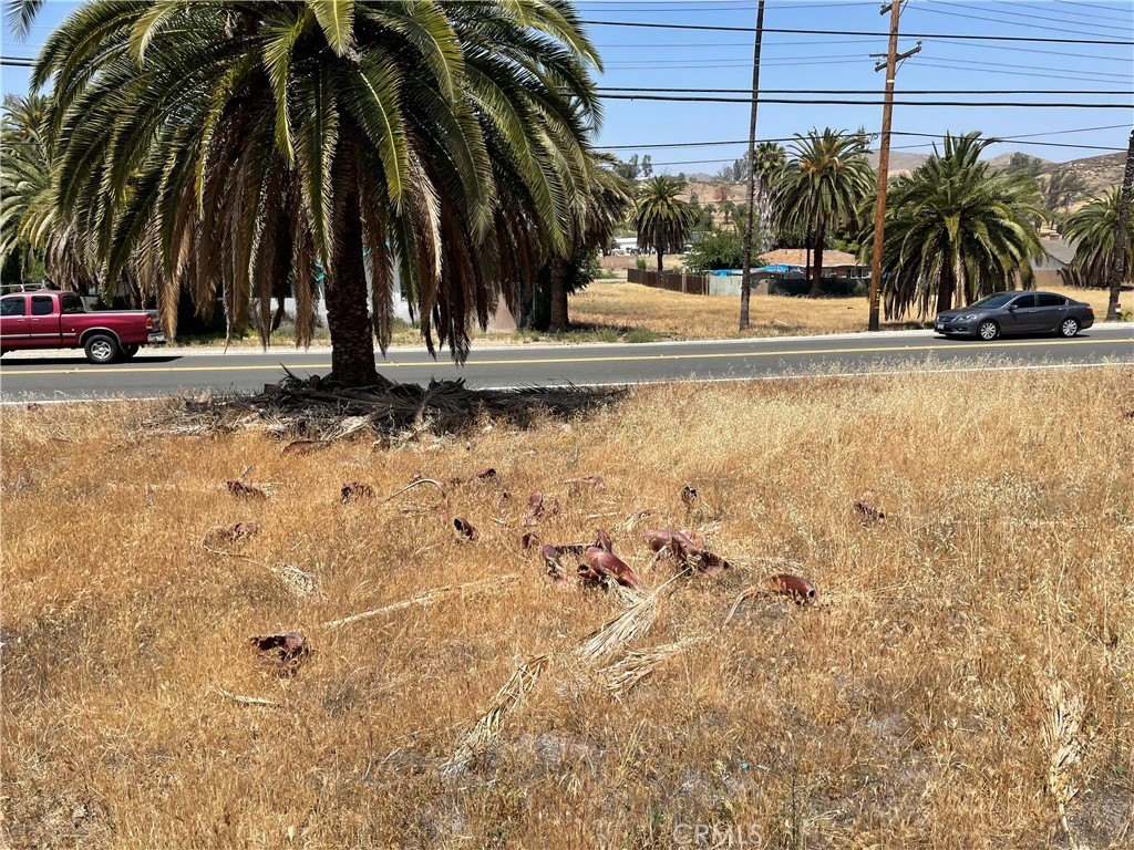 Picture 33