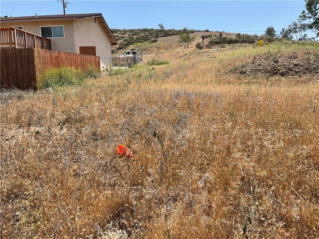 Picture 19