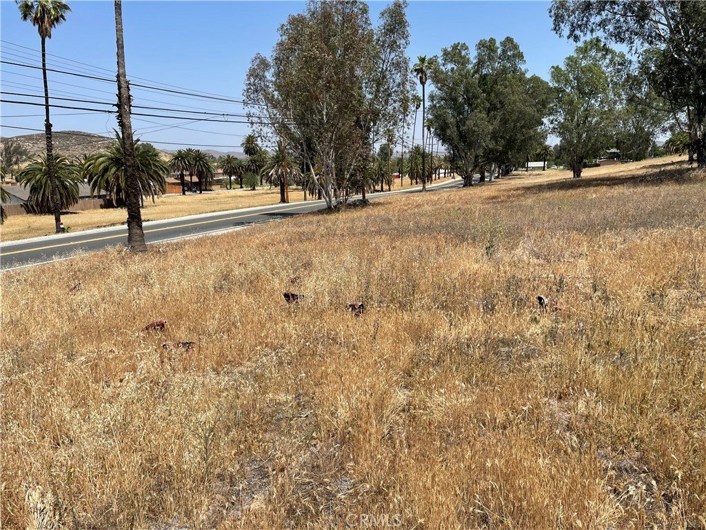 Picture 29