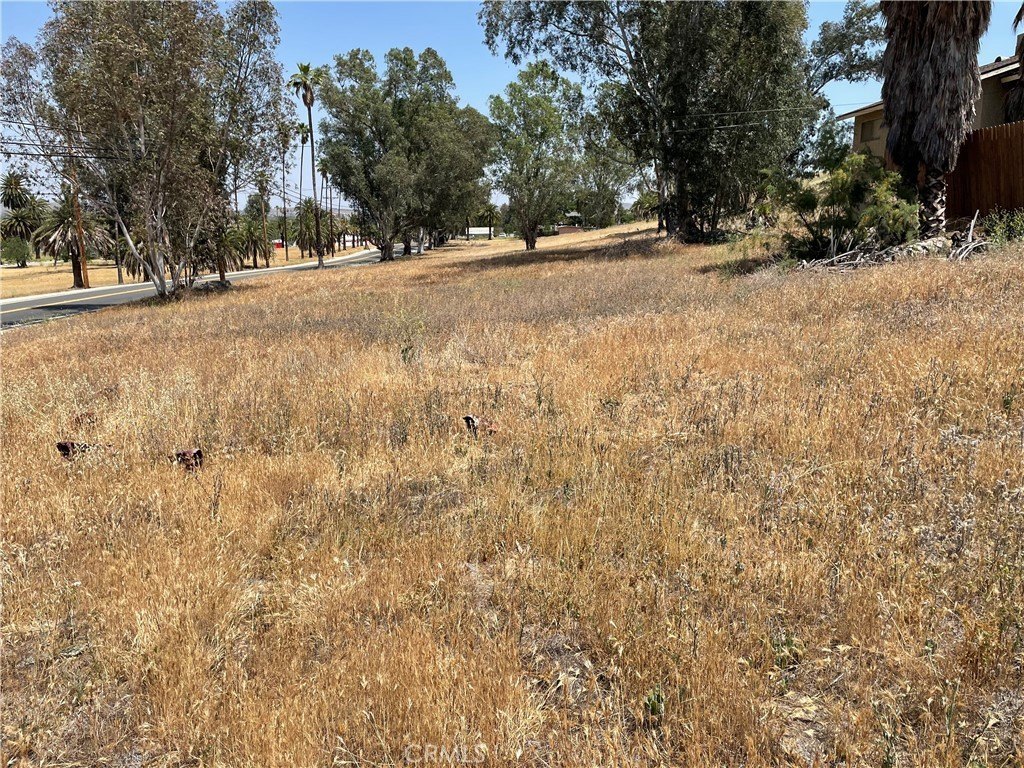Picture 27
