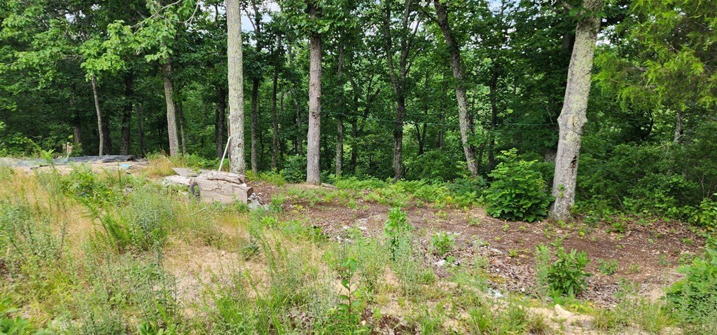 Picture 8