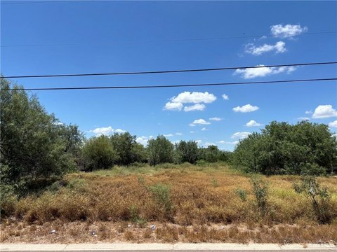 LAND - Sullivan City, TX