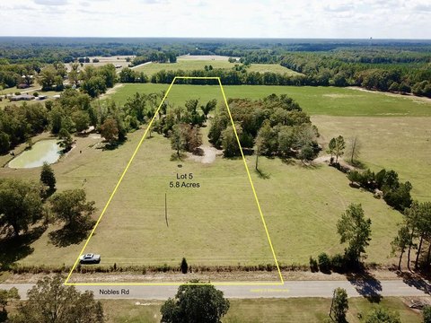 Unrestricted Land near Cottonwood, AL