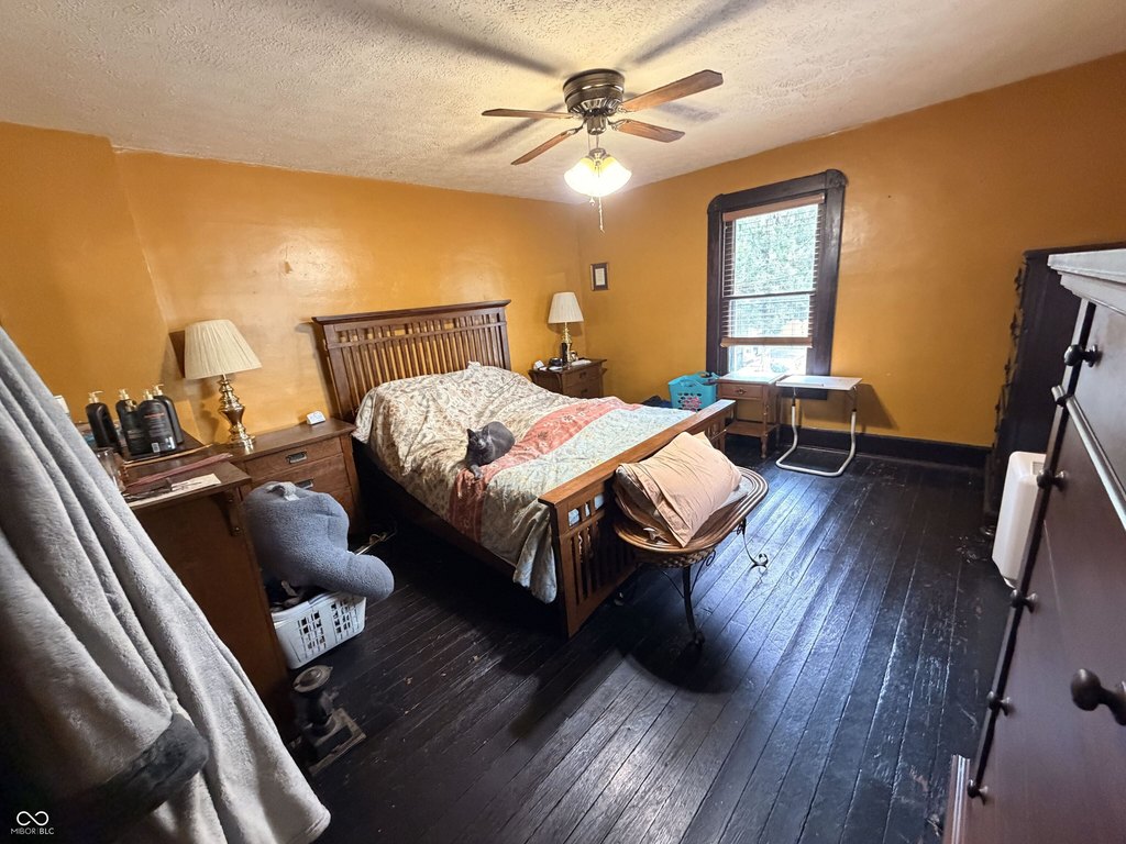 Picture 20