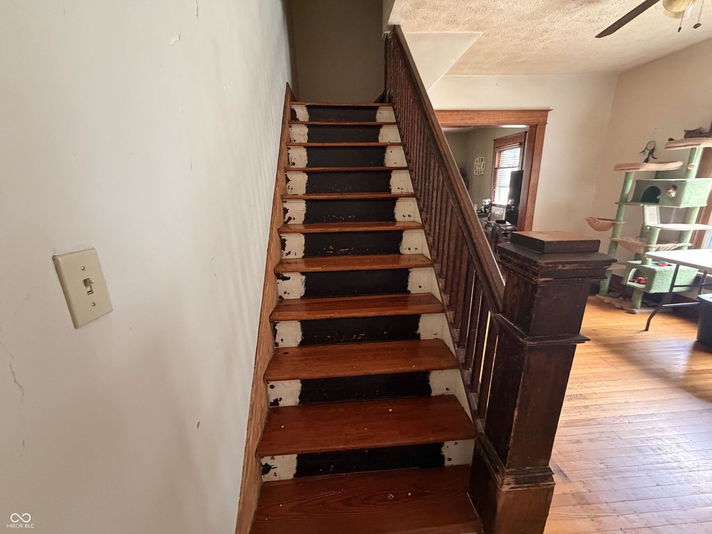 Picture 18
