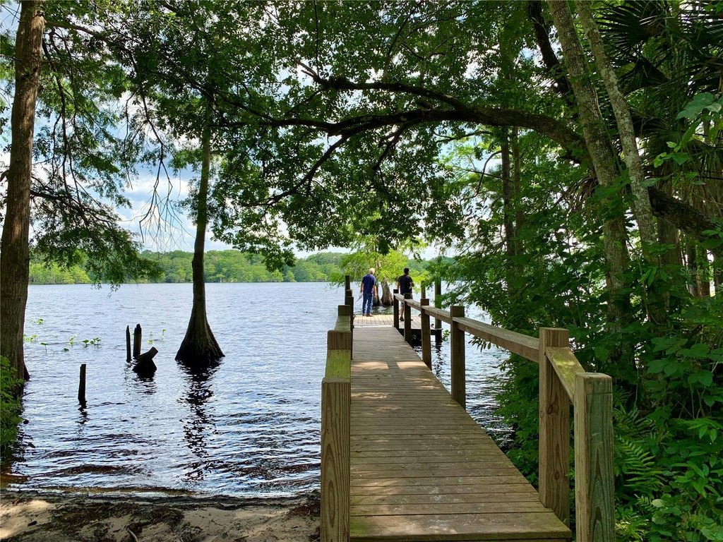 Picture 21