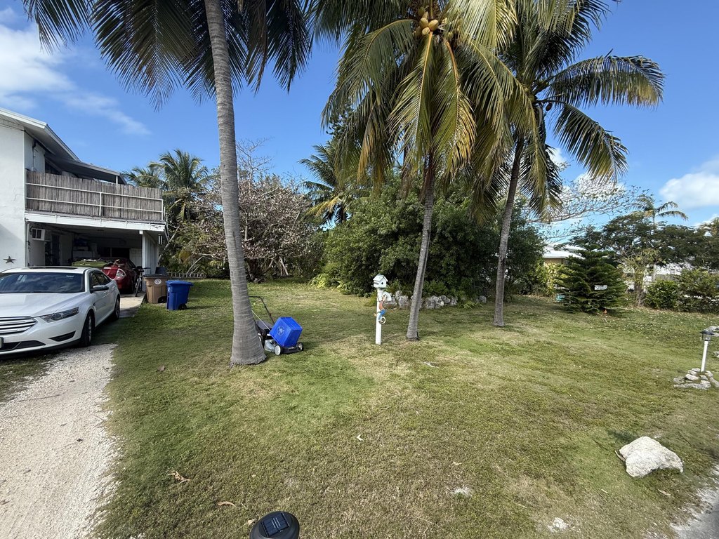 Picture 6