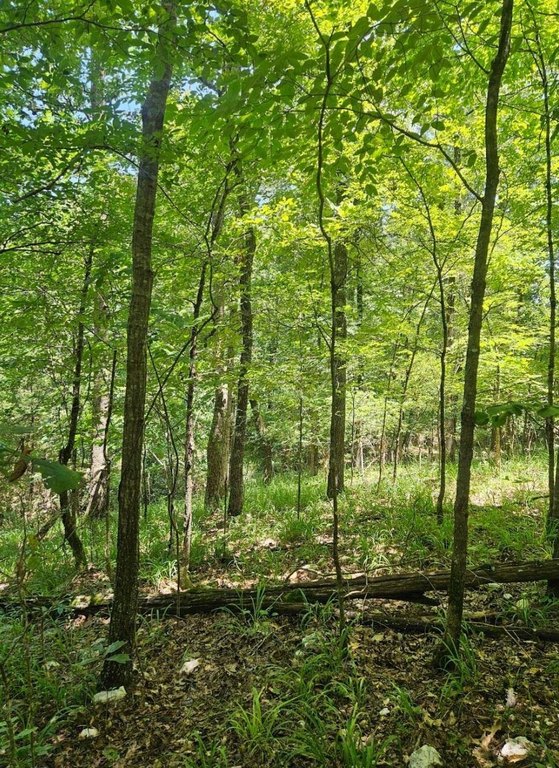 Picture 11