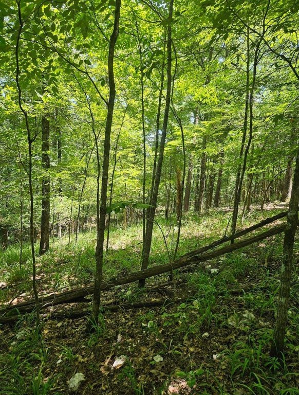 Picture 10