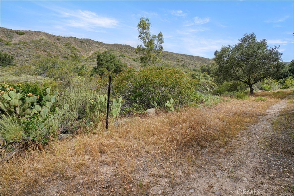 Picture 22