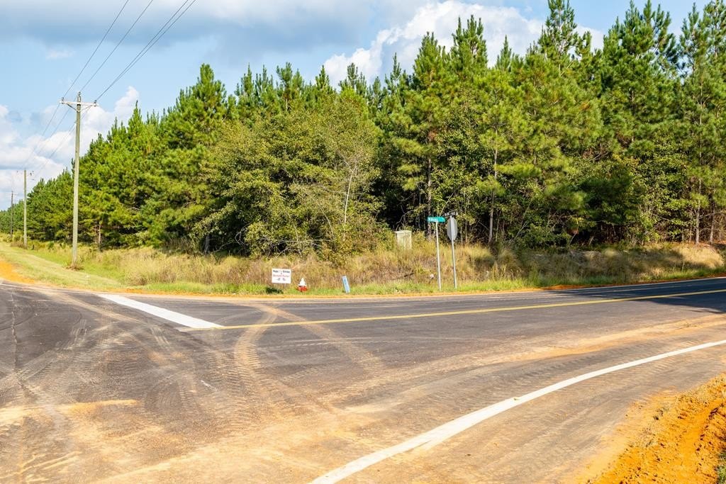 Trenton, SC Residential Development Land