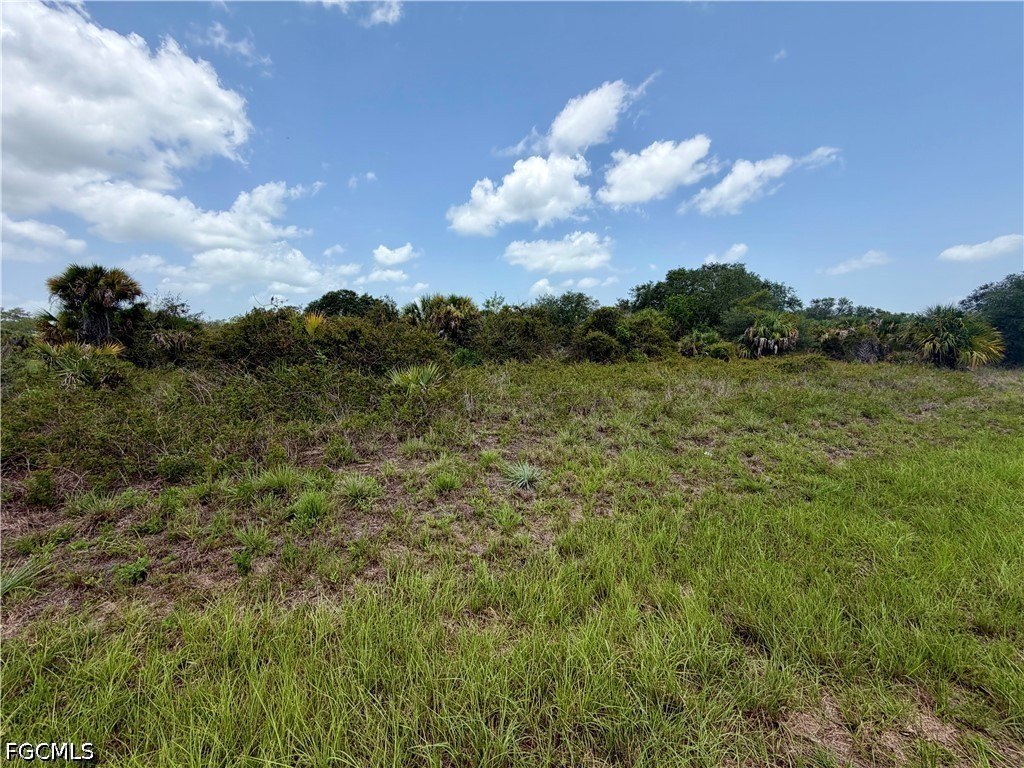 Picture 3