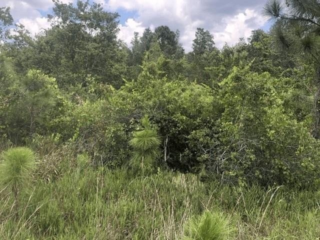 Land in Frostproof, Florida