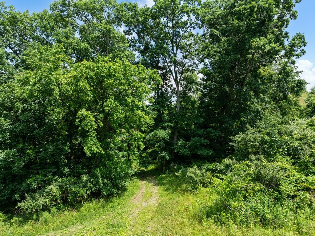 Picture 30