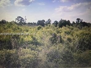 Residential Land in Lehigh Acres