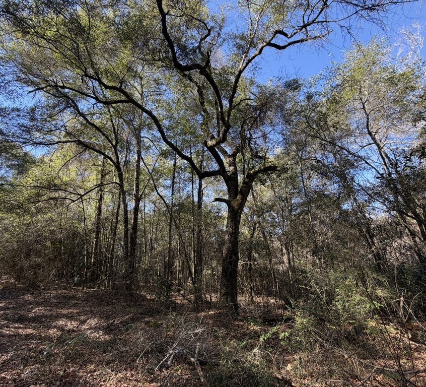 Picture 18