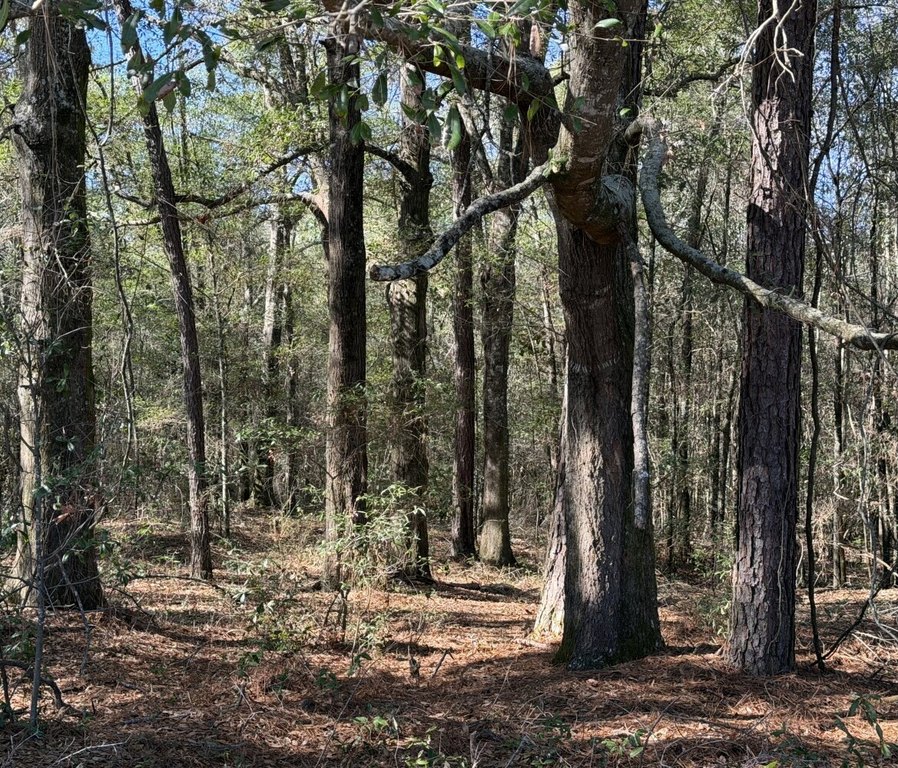 Picture 6