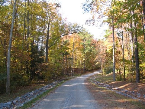 Two Acre Wooded Building Site