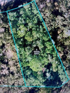 Land, WEEKI WACHEE, FL