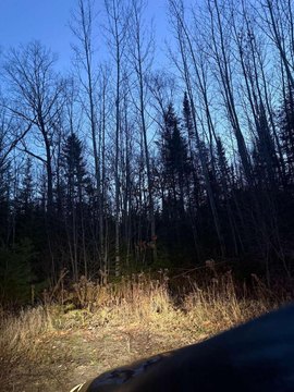 LAND - Lincoln, ME