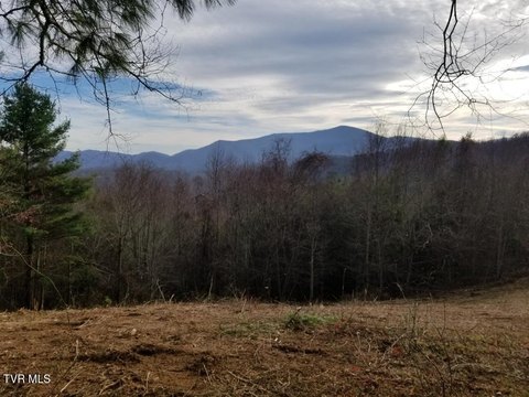 Roan Mountain Land for Sale